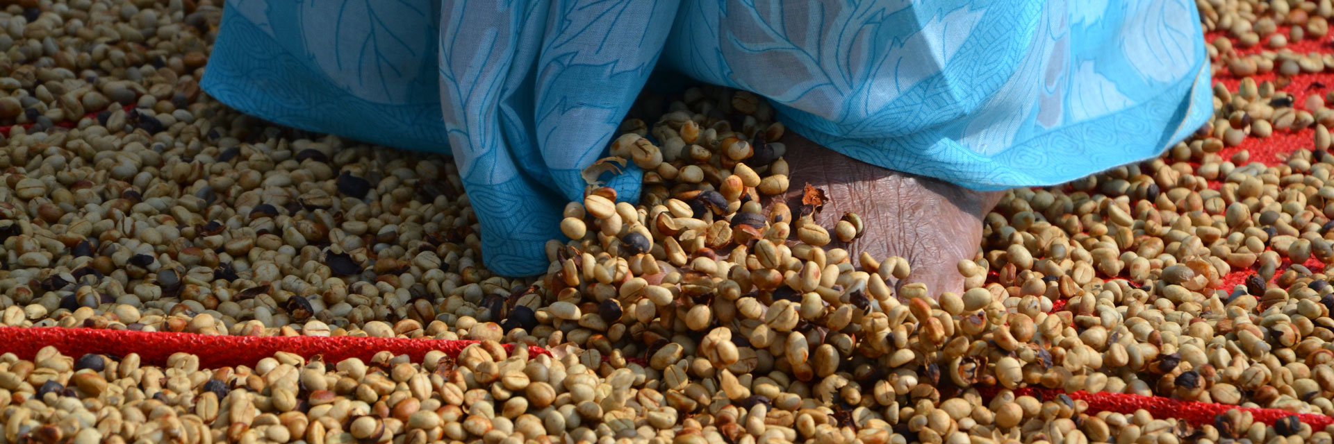 mokka makan der laden